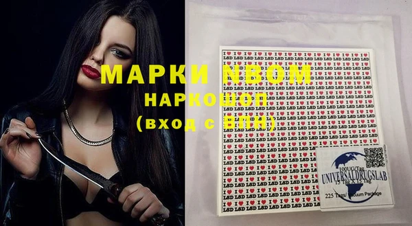 индика Карталы