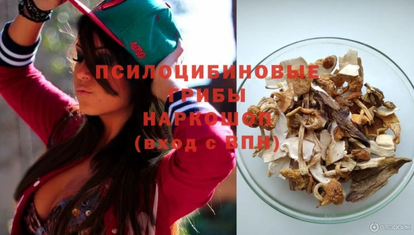 гидра Кинешма