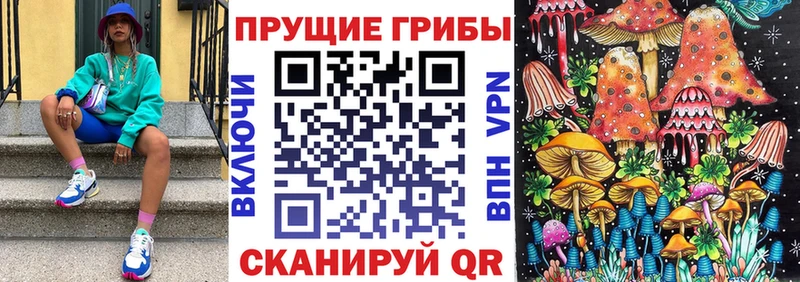 Псилоцибиновые грибы GOLDEN TEACHER  где купить наркоту  KRAKEN сайт  Кировск 