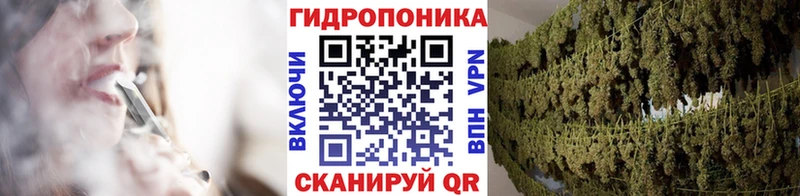 Канабис THC 21%  как найти закладки  Кировск 